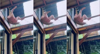 Vídeo da Babi Palomas se divertindo com a bikini