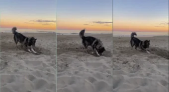 Acropolis1989 curtindo um vídeo na areia da praia
