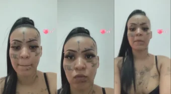 Transmissão ao vivo da gata se exibindo na câmera