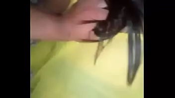 Karol Karol Karoll com rabo de cavalo sendo fodido
