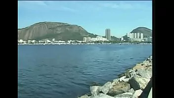 As panteras perdida na floresta