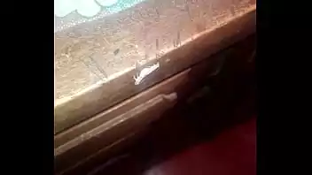 Caçadores de bugs porno