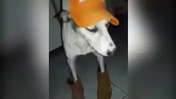 Como baixar filme de sexo