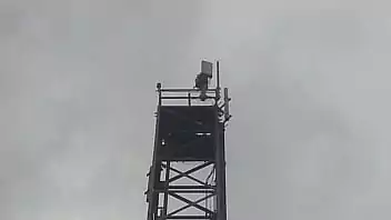 Porno com cachorros